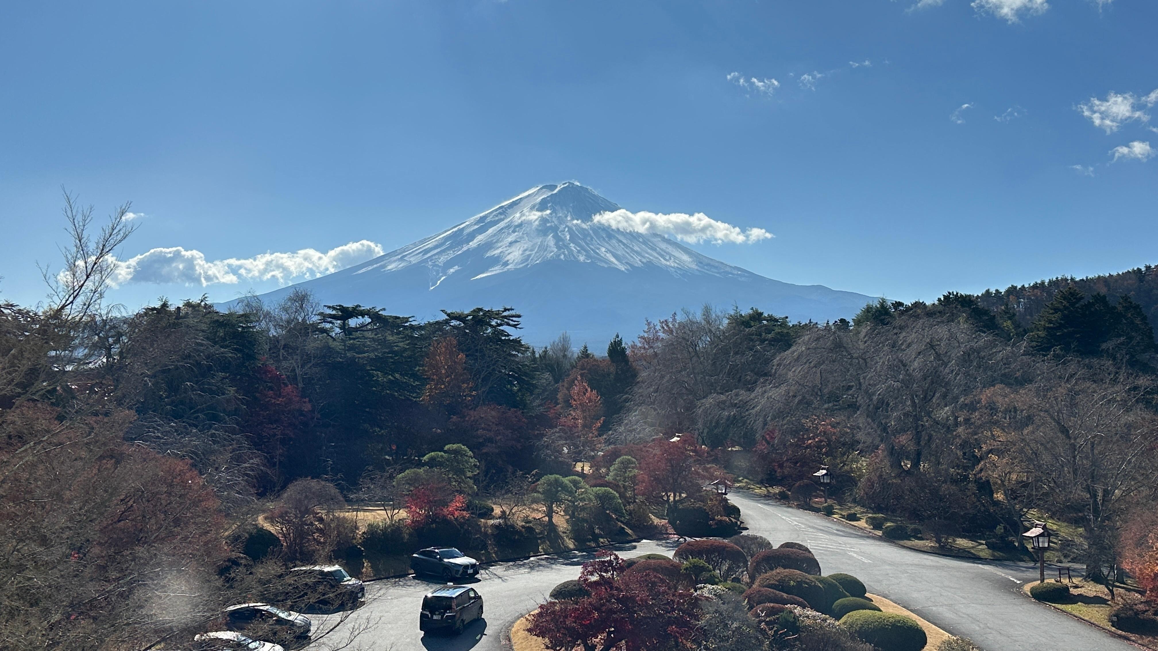 A beautiful view of from the hotel.