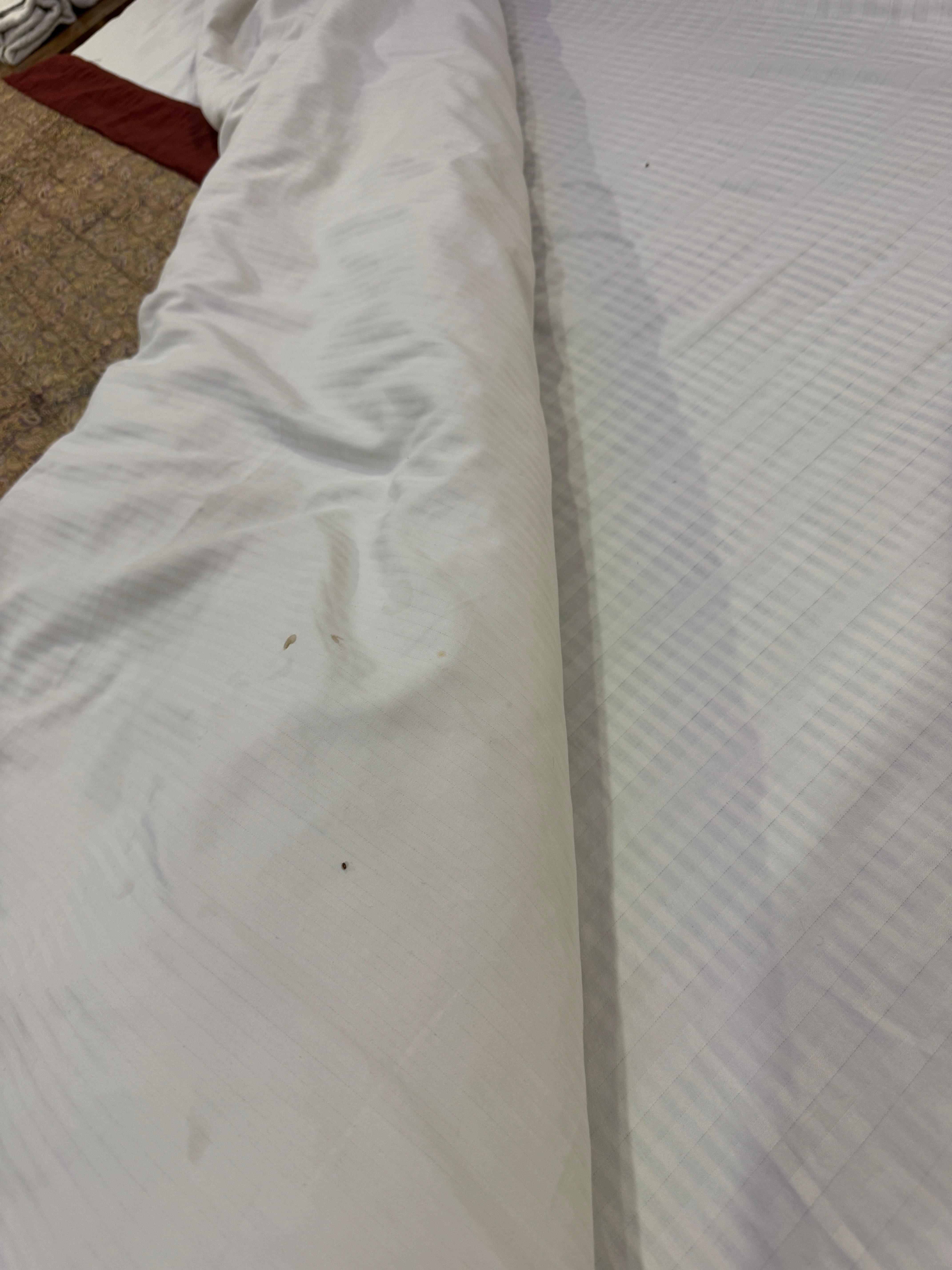 dirty sheets with bed bugs