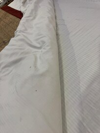 dirty sheets with bed bugs
