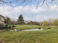 Nice garden