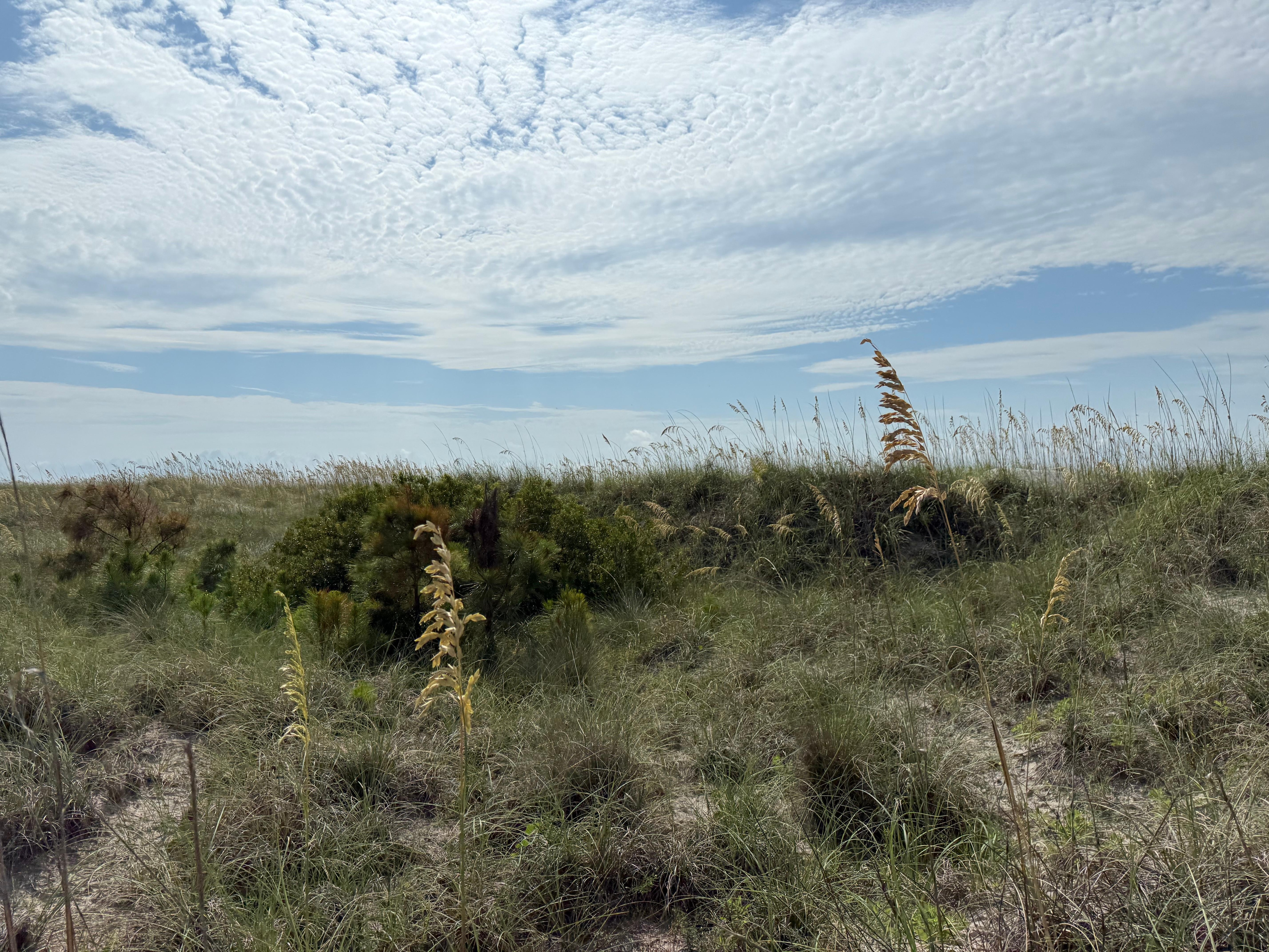 The walkway to the beach