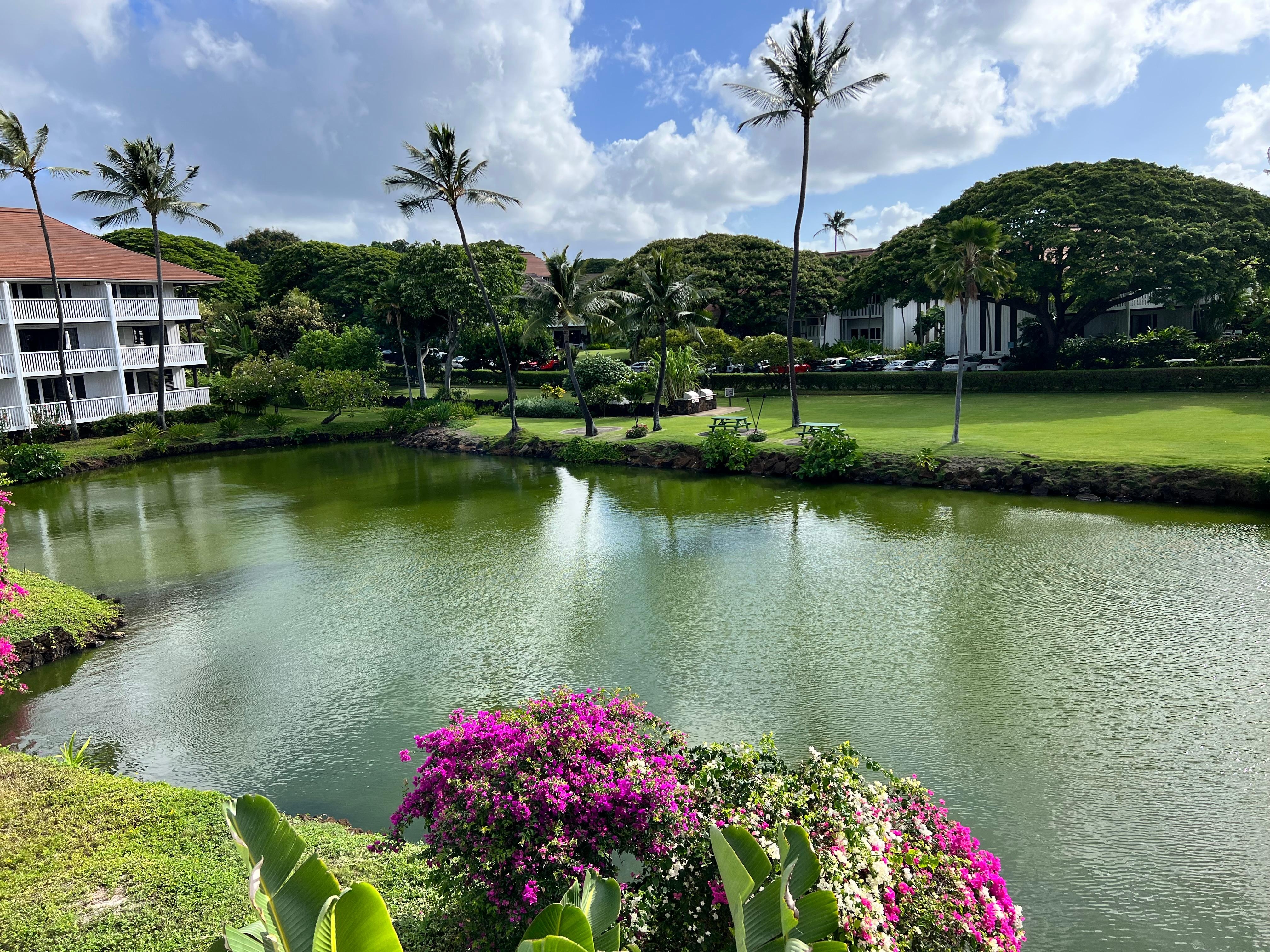 View of grounds from lanai.