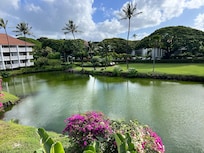 View of grounds from lanai.