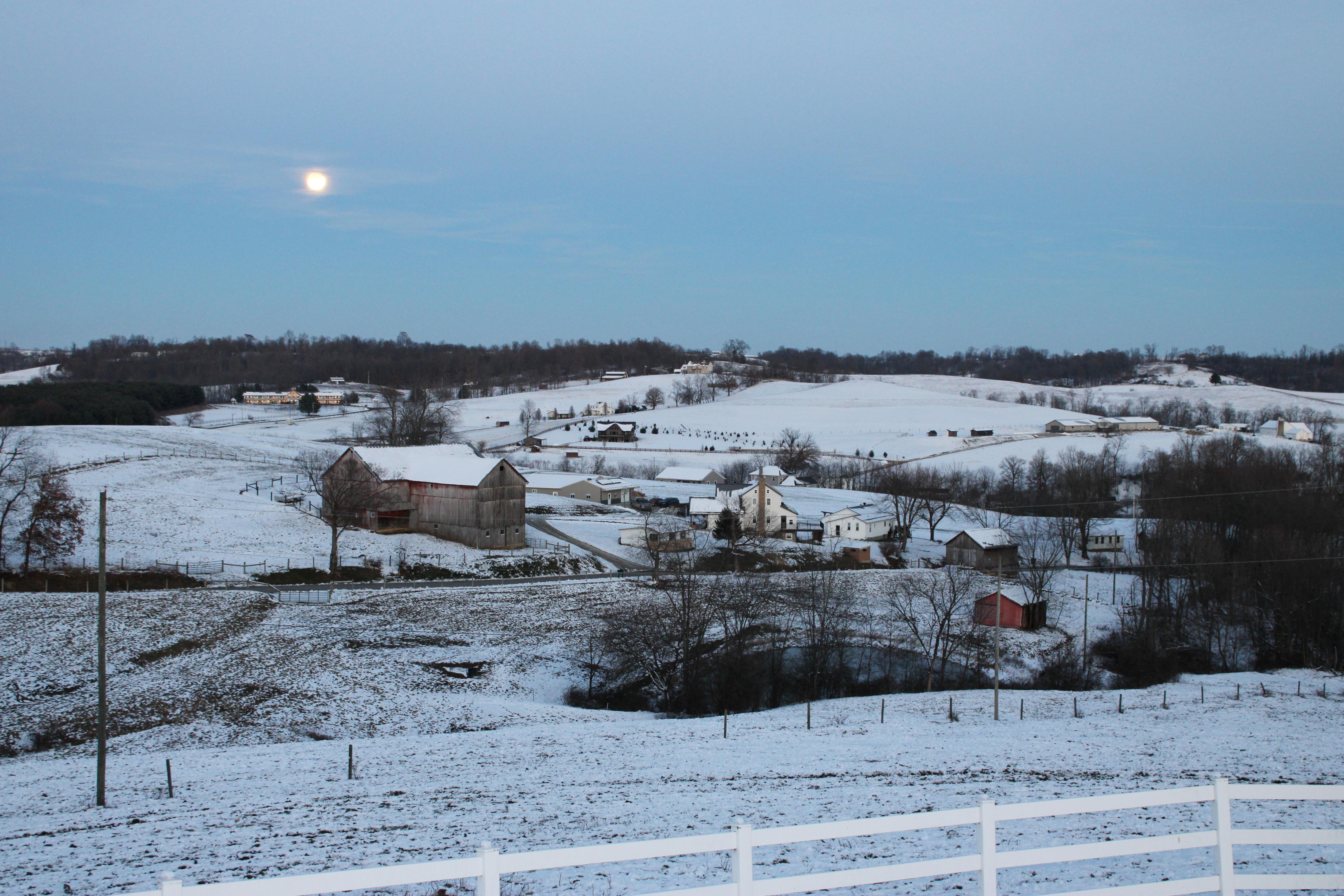 Beautiful winter views
