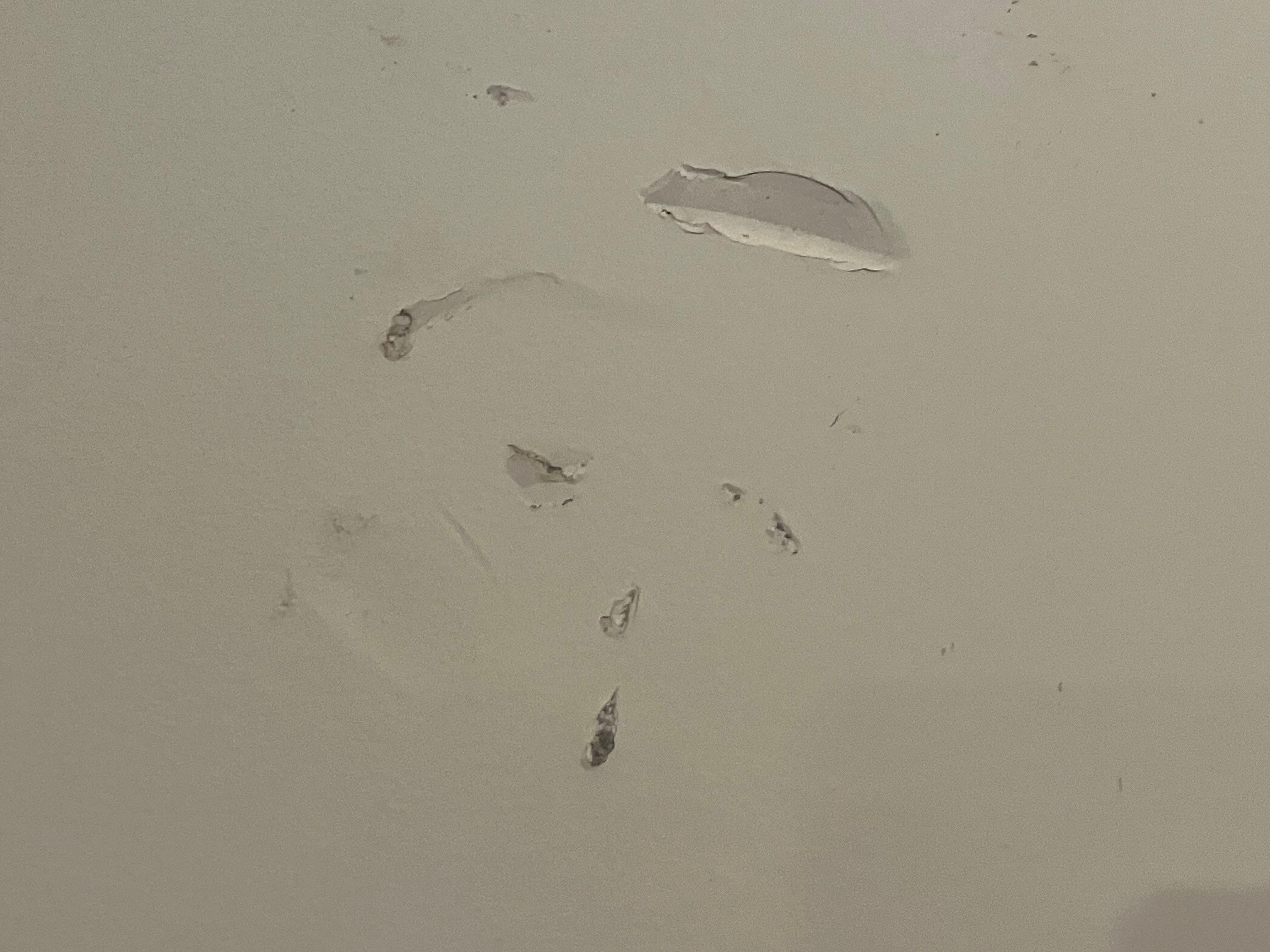 Holes in wall one of many