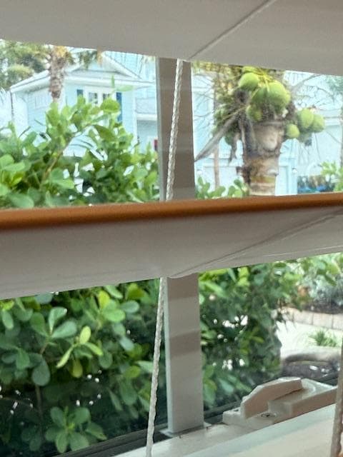 Coconuts just outside the room