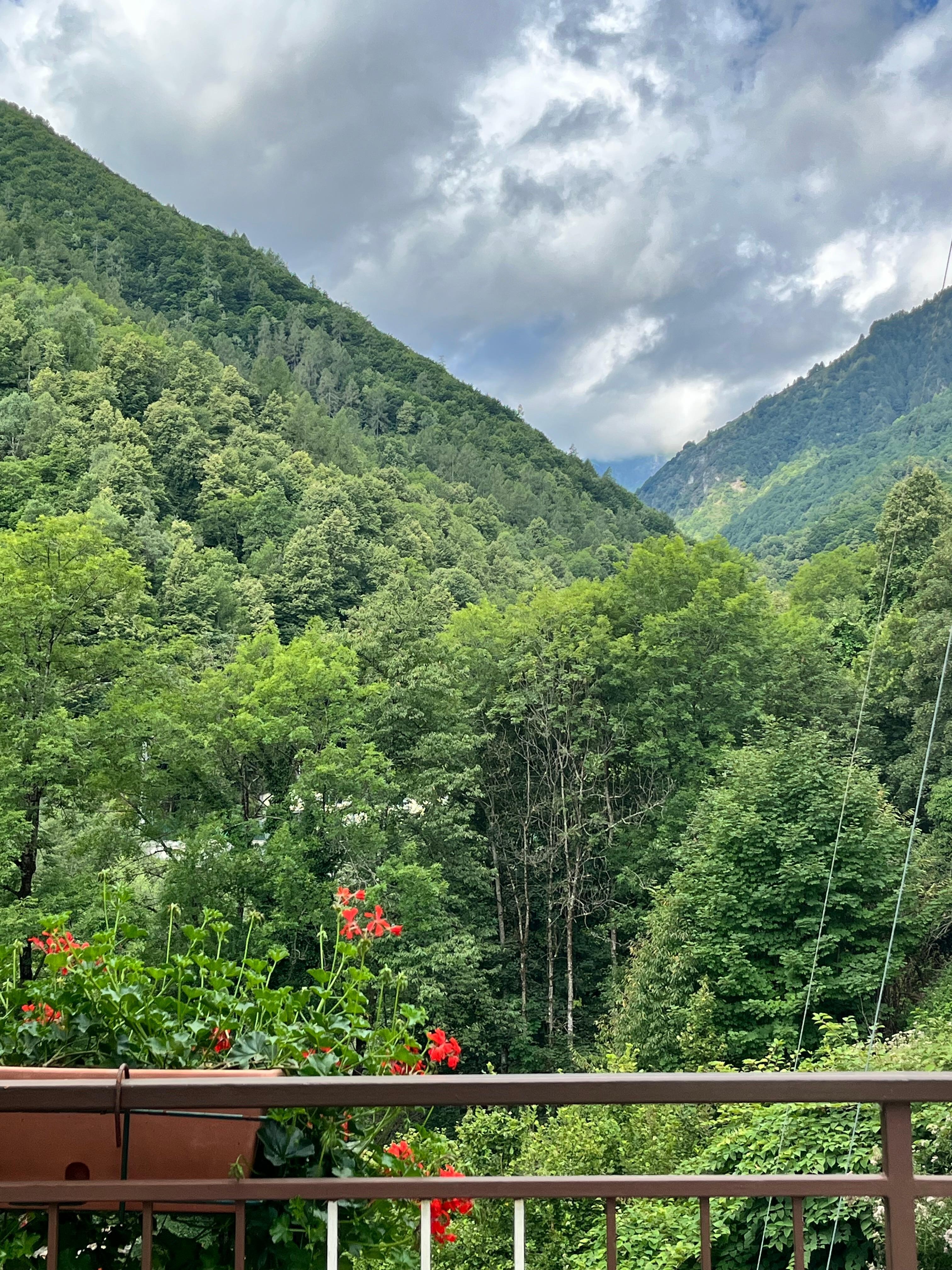 Balcony view
