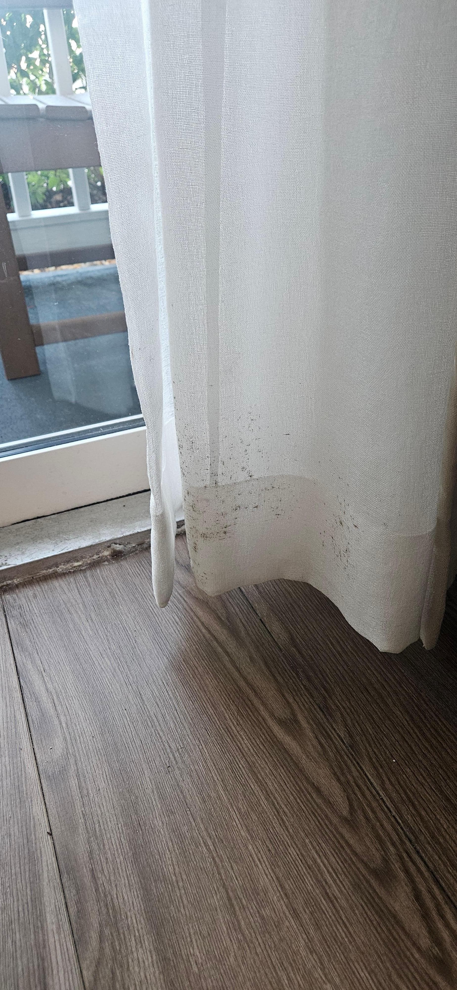 room 103 mold on curtains and the smell of mold was overwhelming 