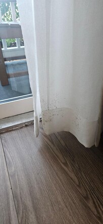 room 103 mold on curtains and the smell of mold was overwhelming