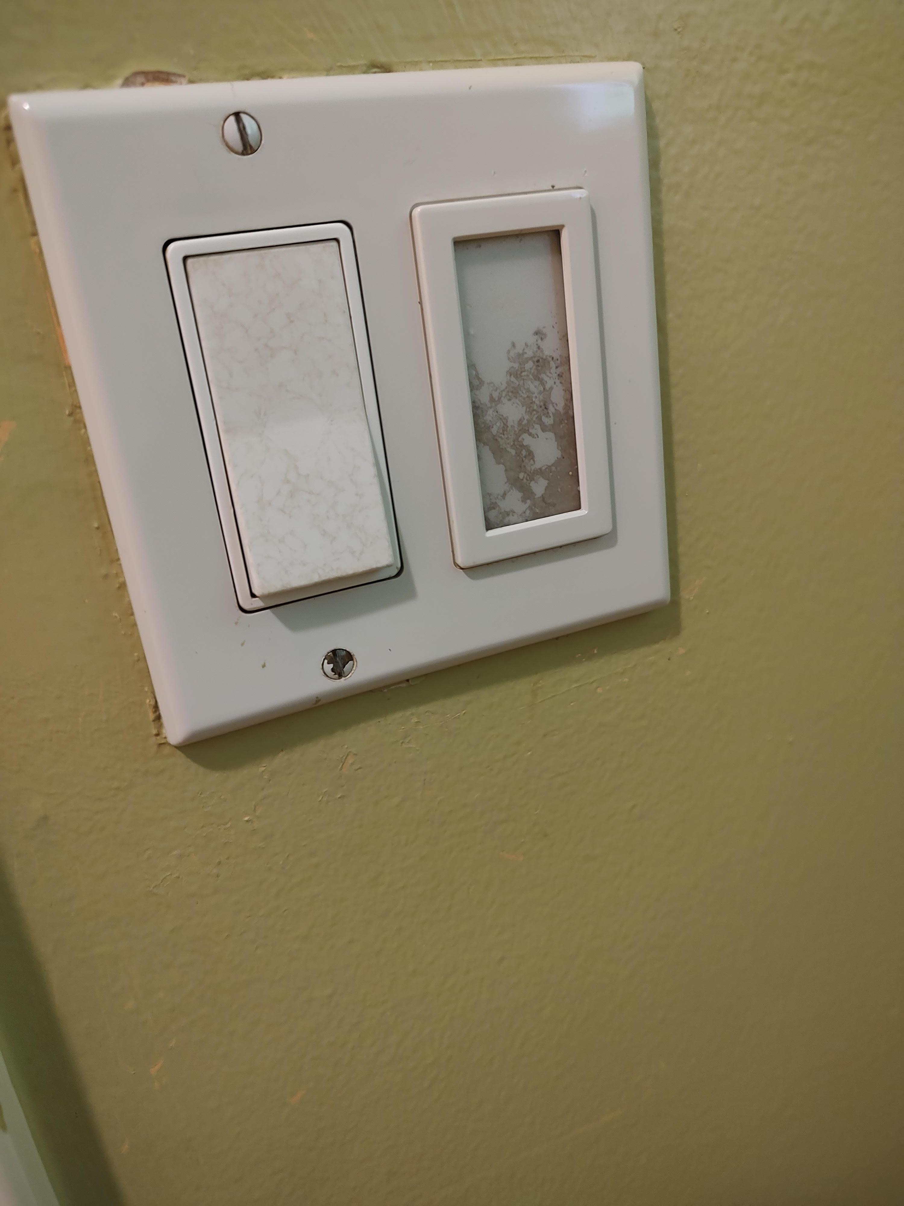 Bathroom mold