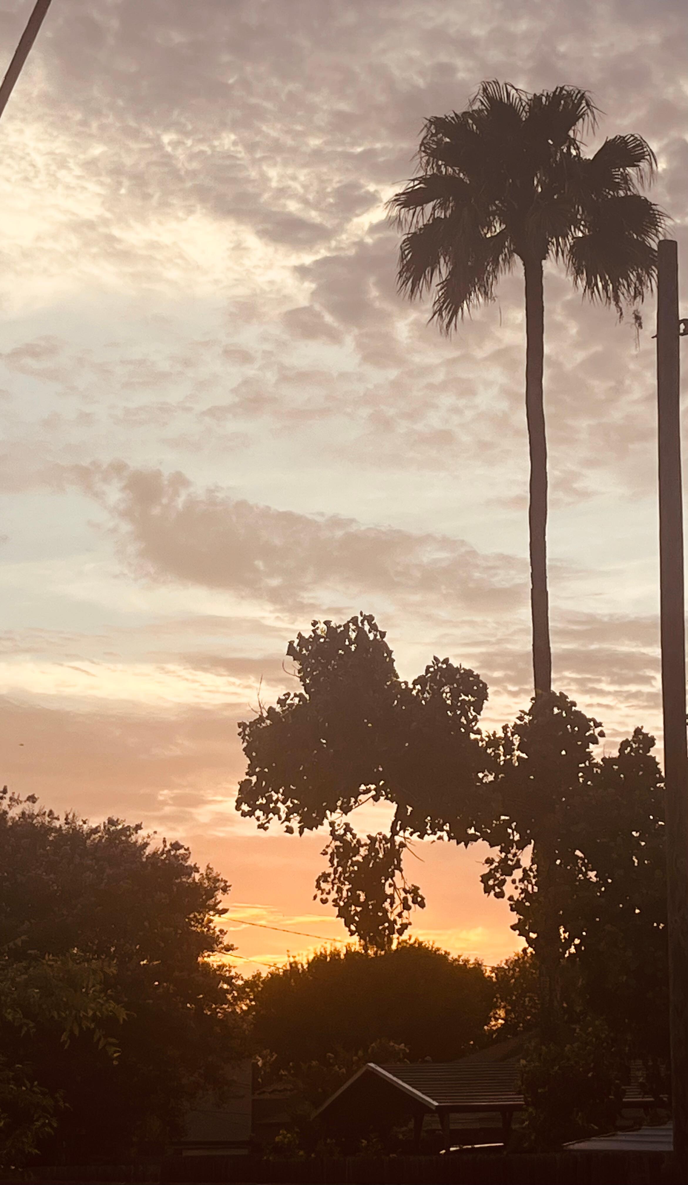 Sunset from the backyard 