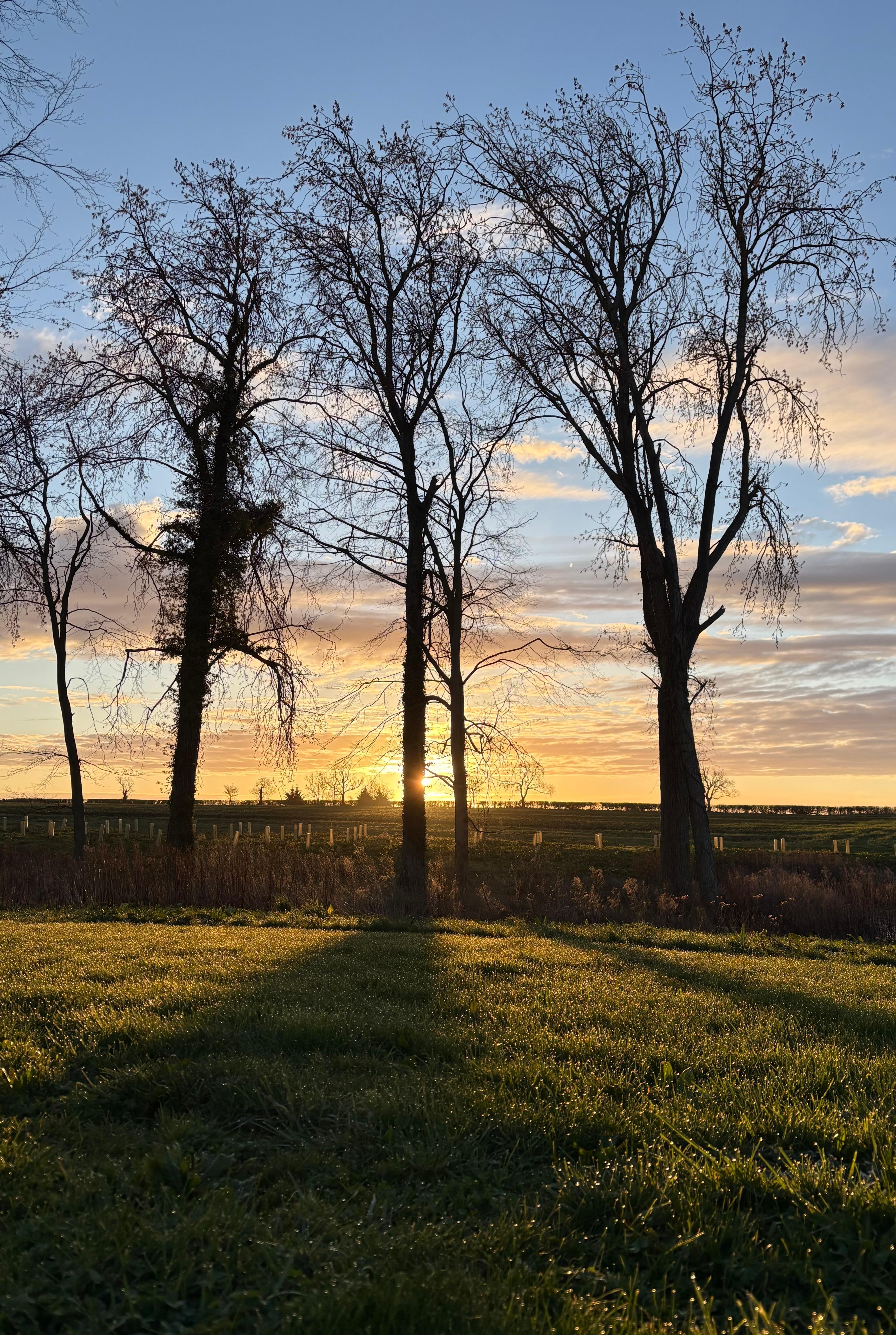 Sunrise through the bedroom window. 
