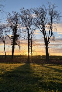 Sunrise through the bedroom window.