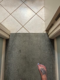 Filthy carpet