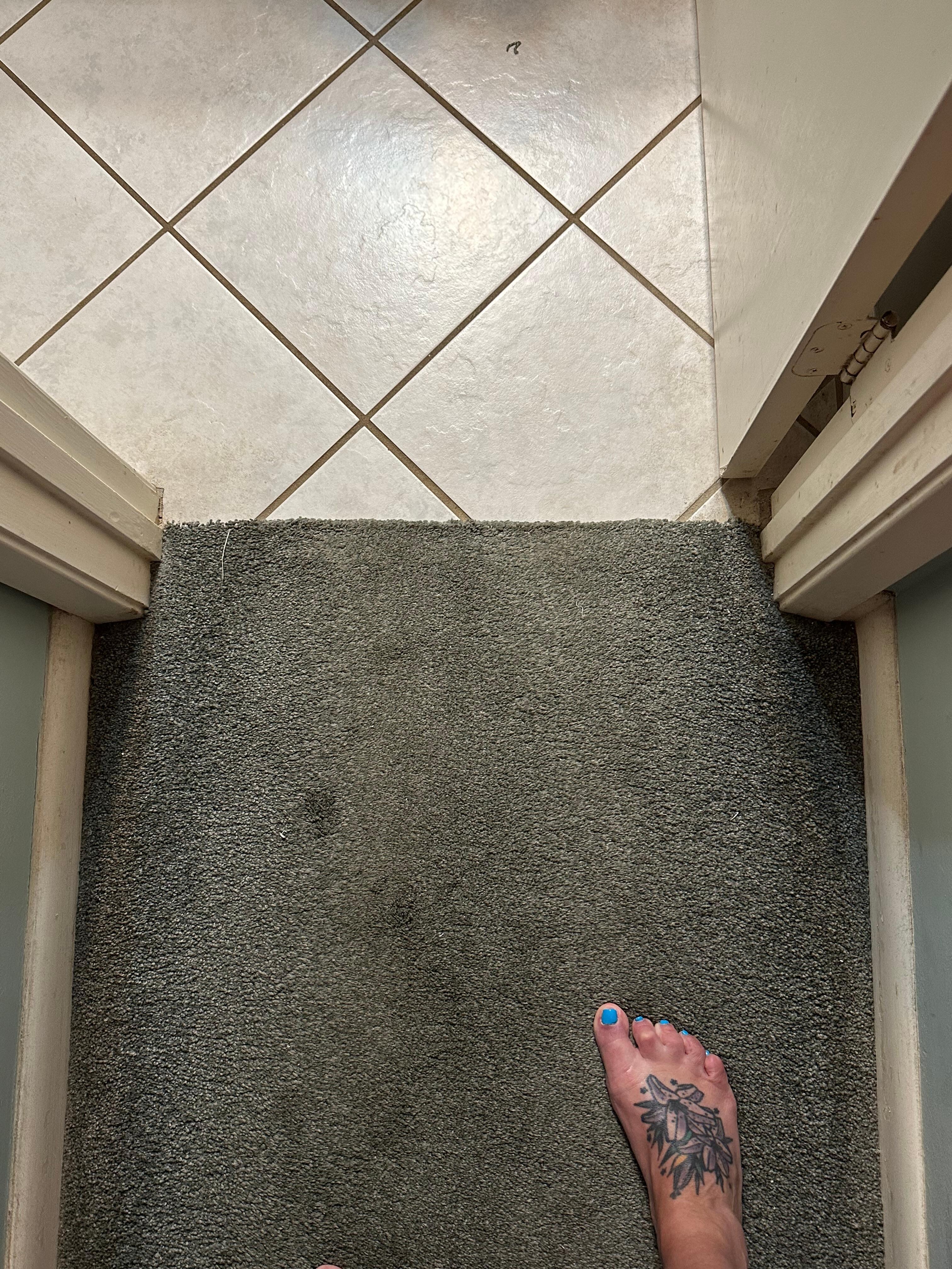Filthy carpet