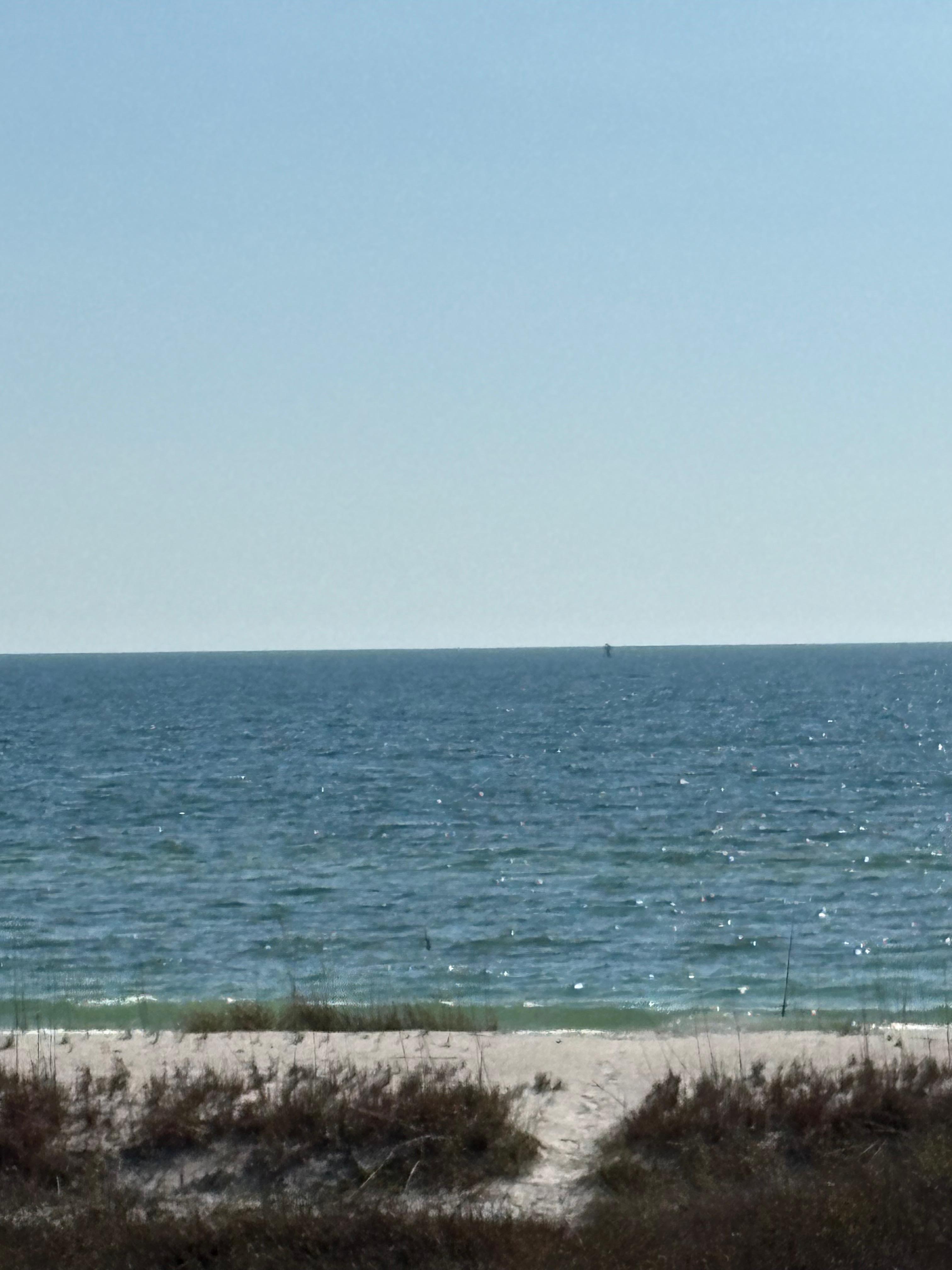 View from the front yard