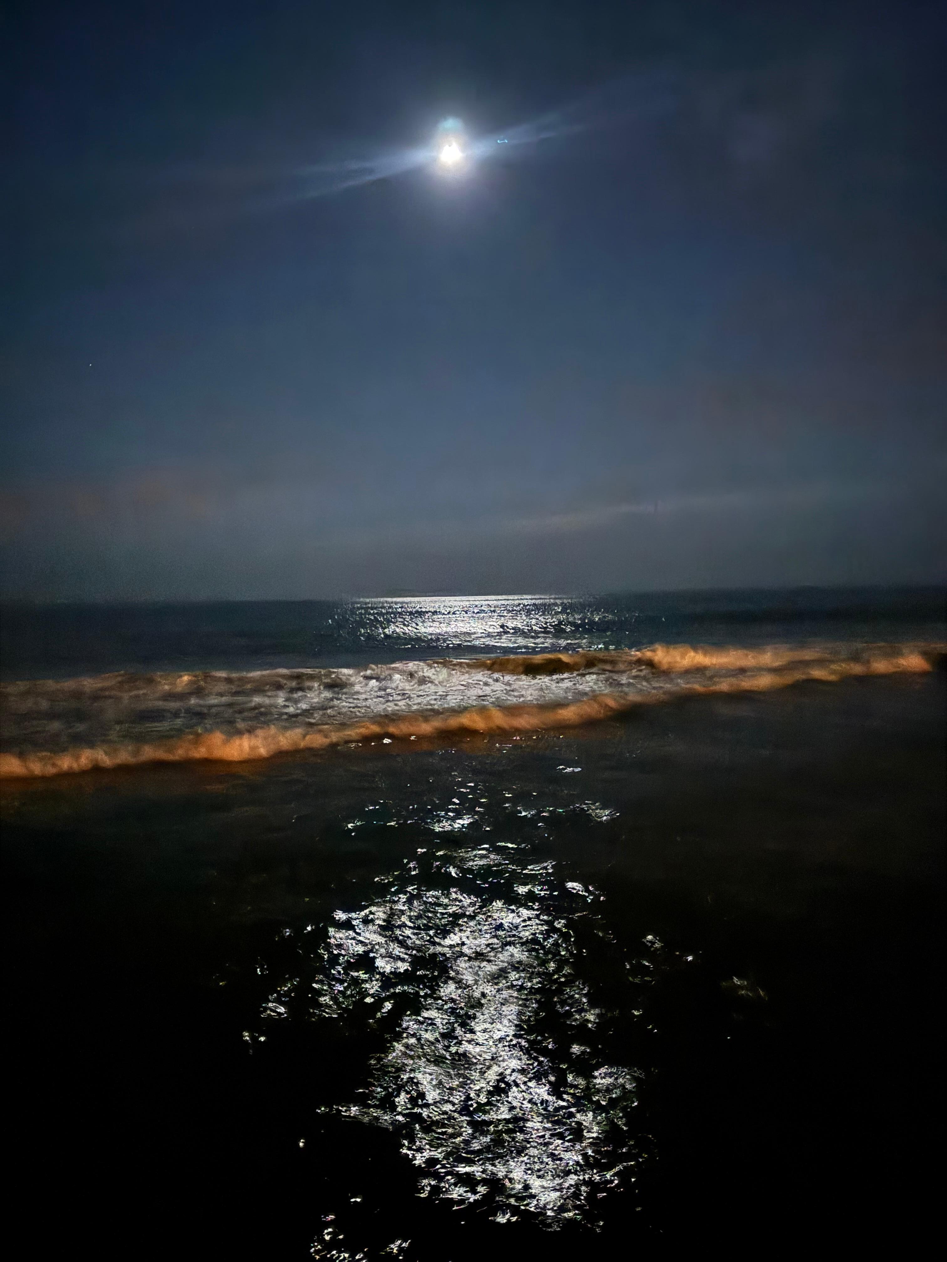 Night view from beach on property