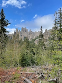 Custer Dtste Park