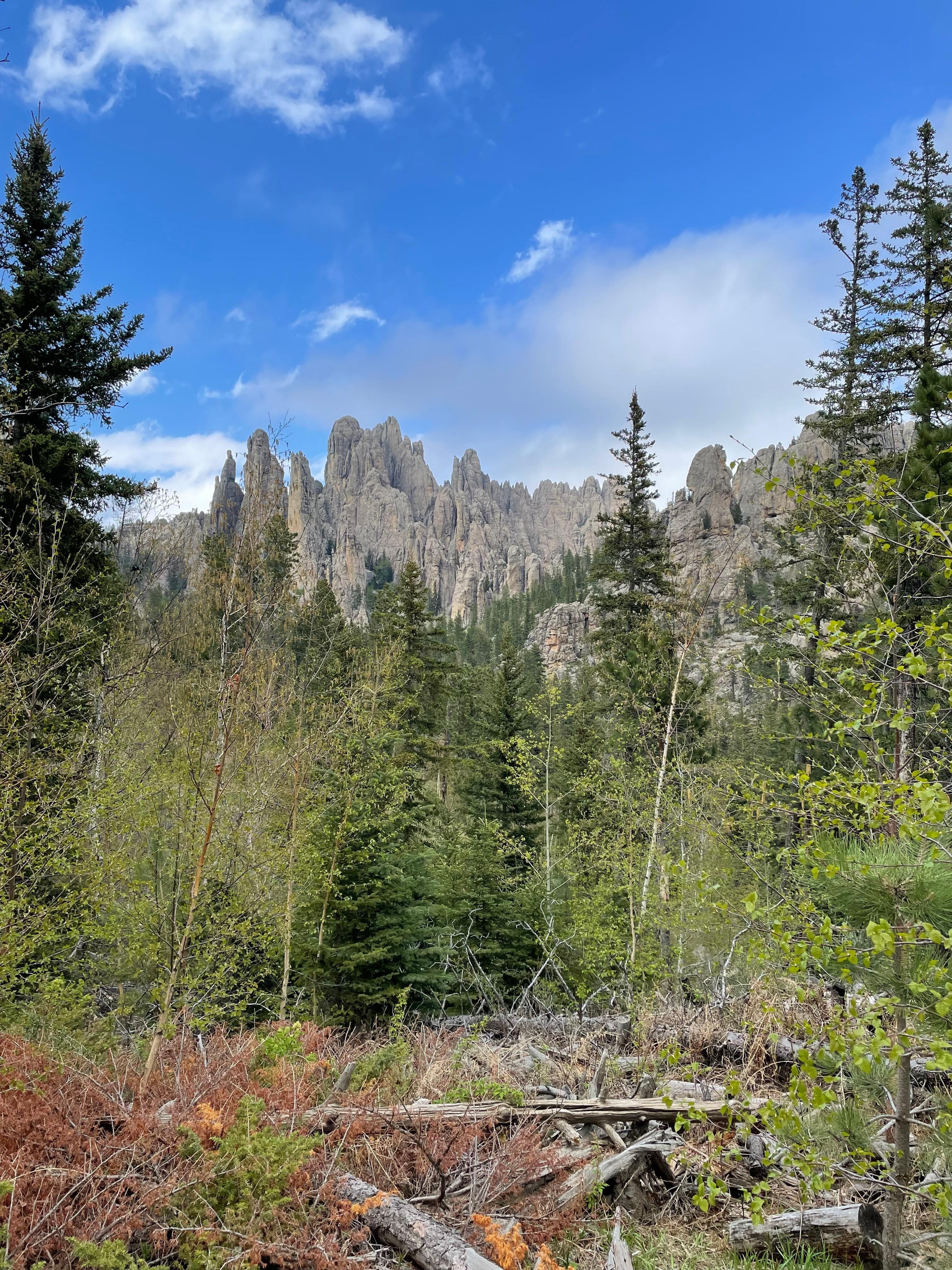 Custer Dtste Park