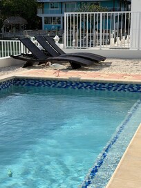 A sweet bird visited us a few times.