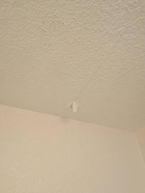 Ceiling plaster coming off