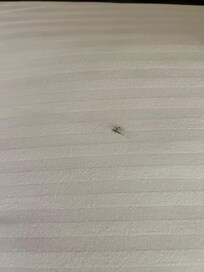 The third room, had this stain in the sheet
