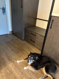 Closet/shelf/frig closet