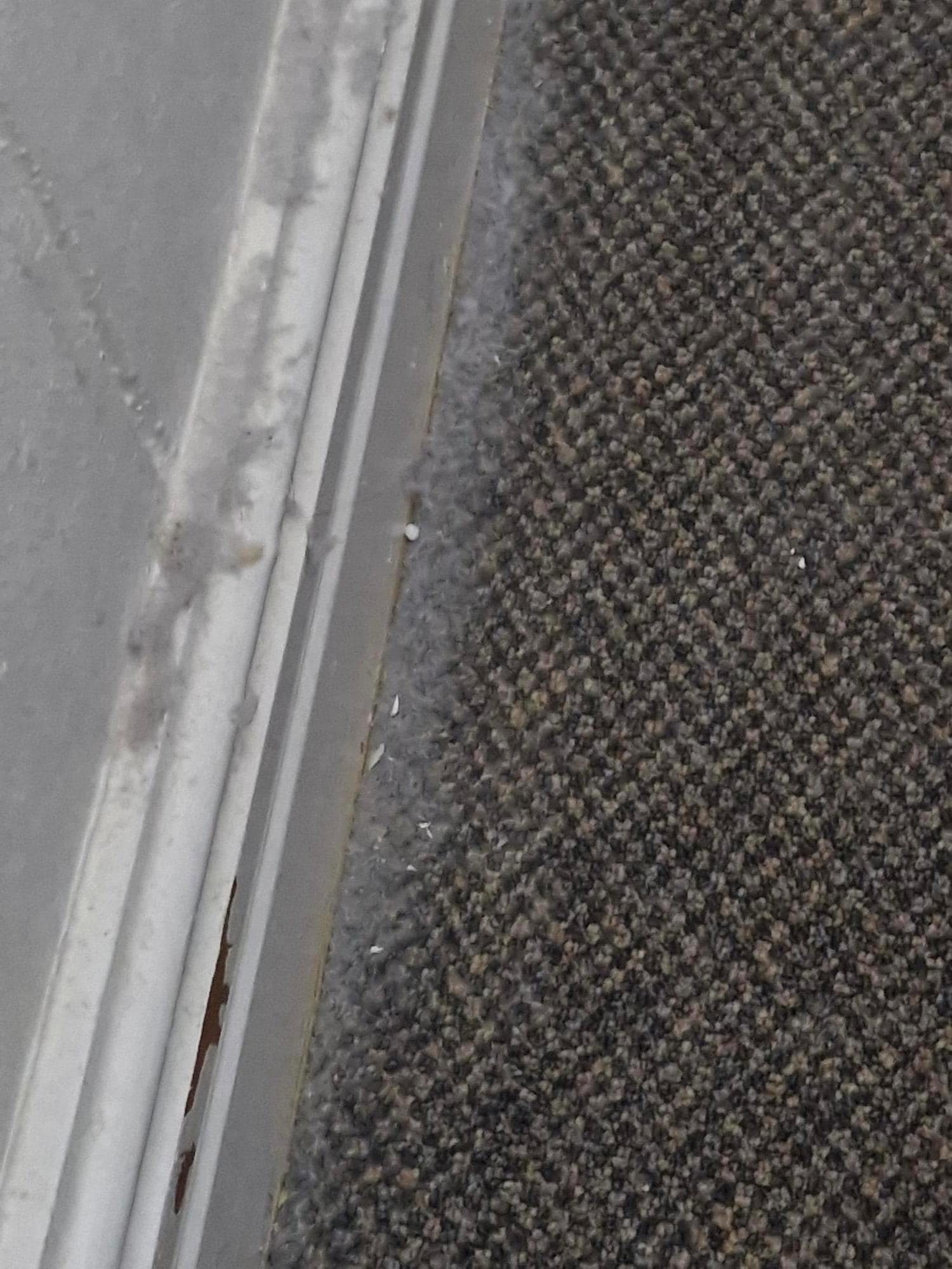 More dust next to the bed