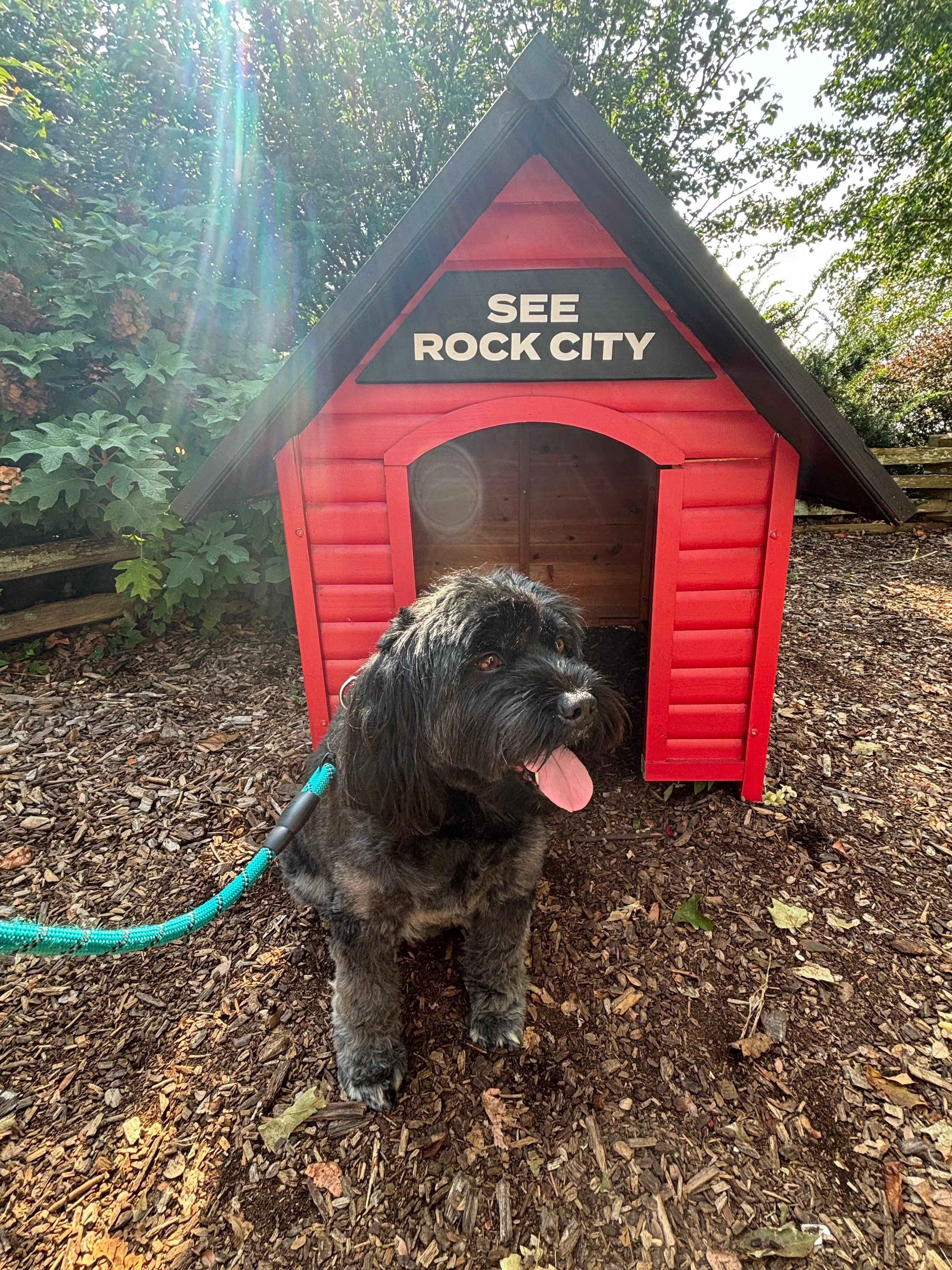 Our dog Tucker enjoyed Rock City! 