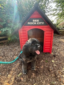 Our dog Tucker enjoyed Rock City!