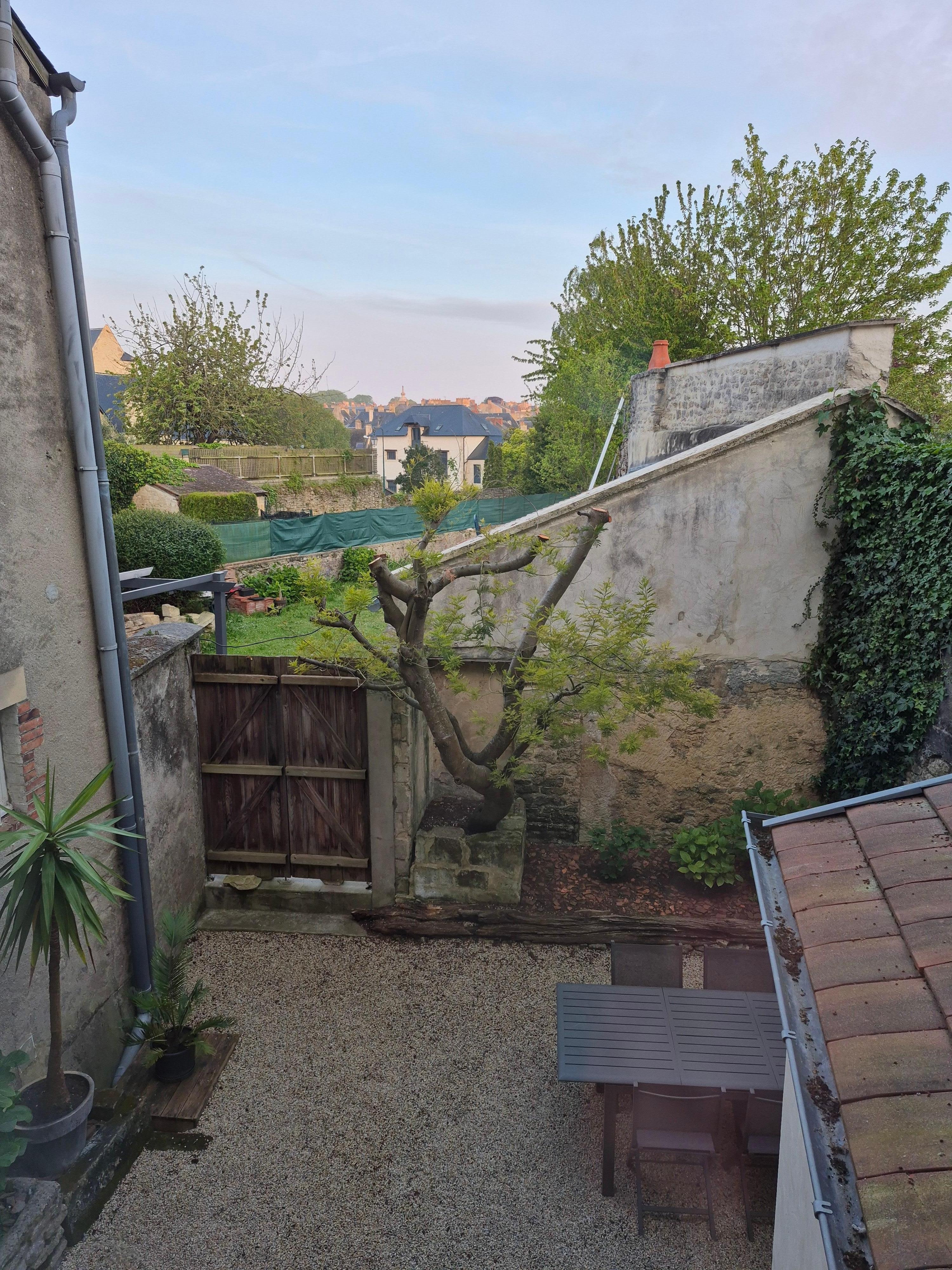 A view of the back garden at dusk.