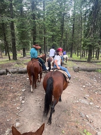 Trail riding