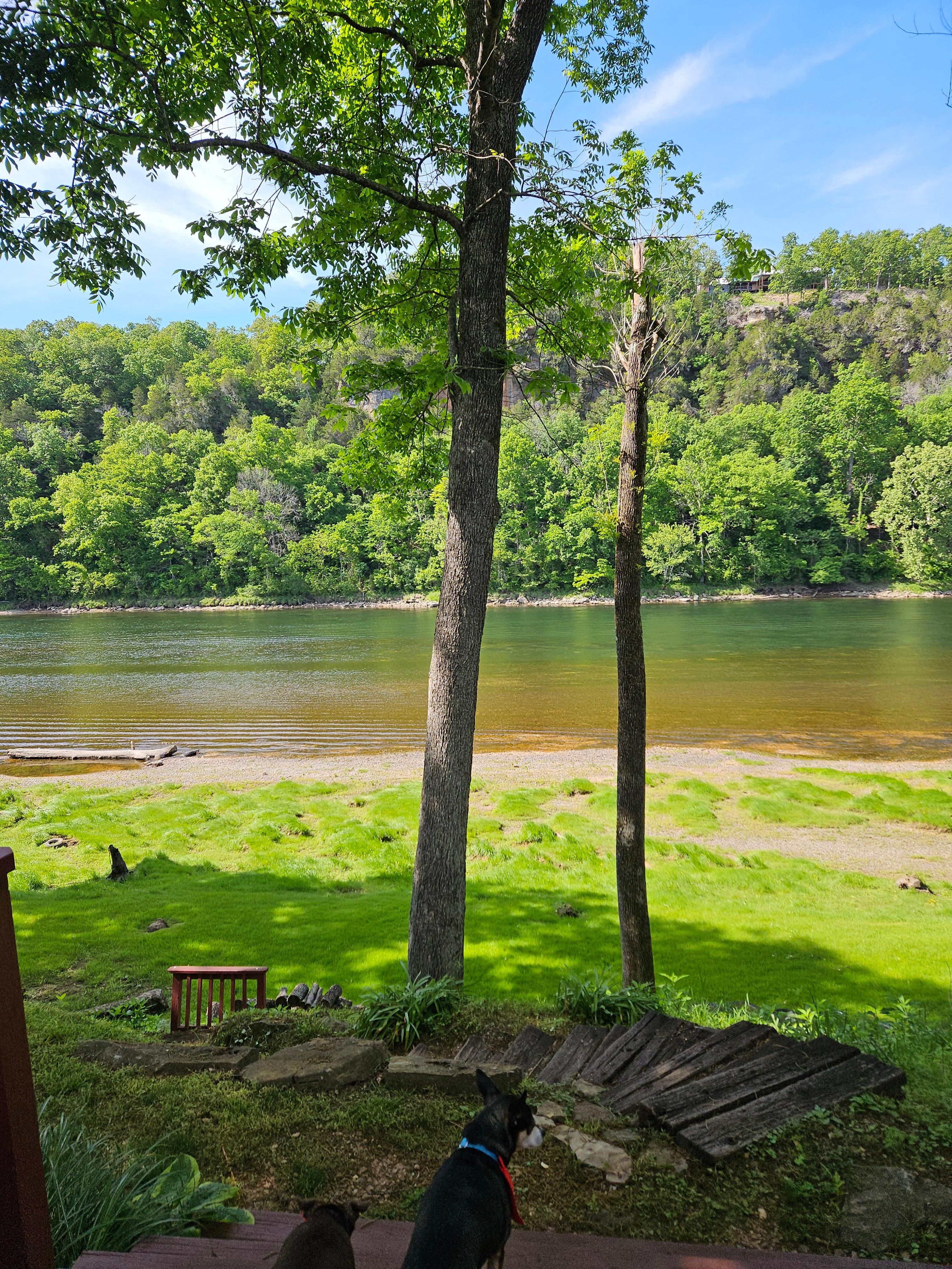 The view from the deck.