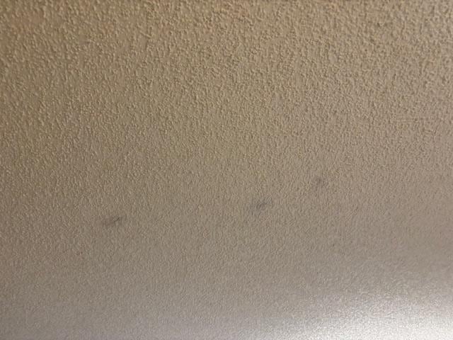 Mold on the ceiling
