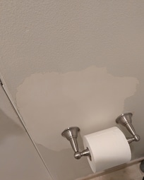 Guest bath with always on FAN. Loud! Needs replacement or cleaning. Staff scoffed at this suggestion.