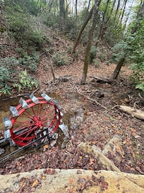 The creek below the cabin. Autumn leaves fluttered down every day