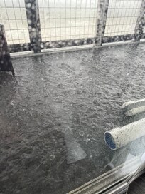 Standing water on screened porch