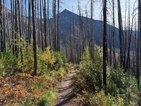 Fall colors!