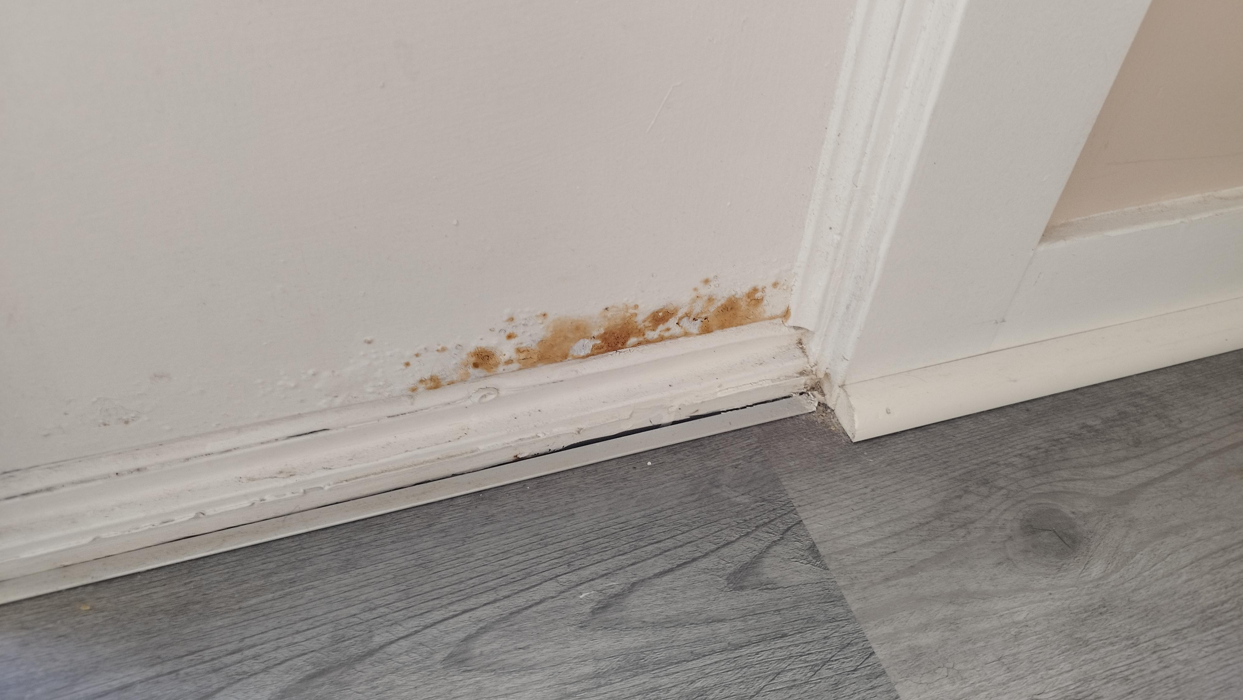 Schmutzige Einrichtung