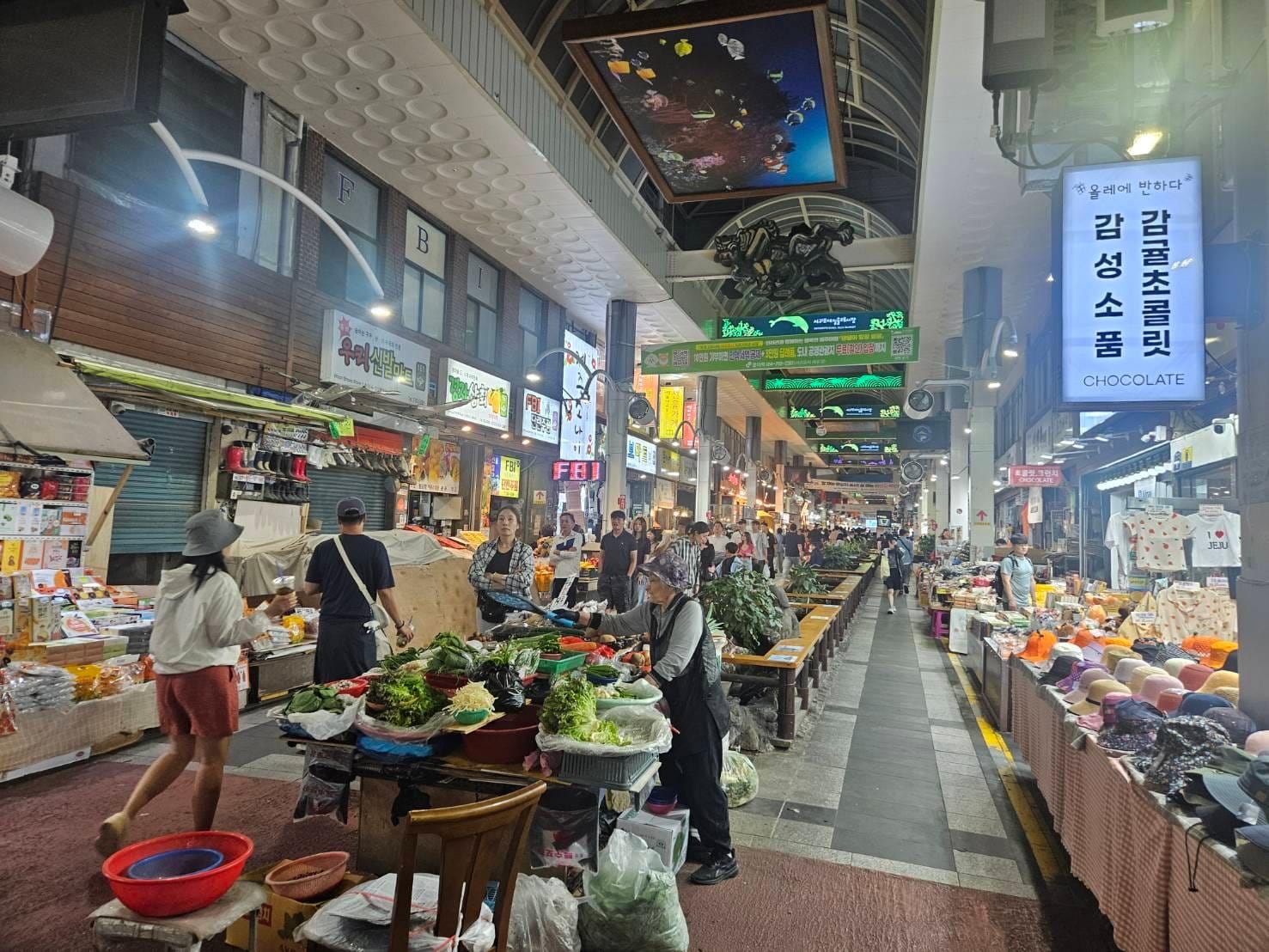 每日偶來市場