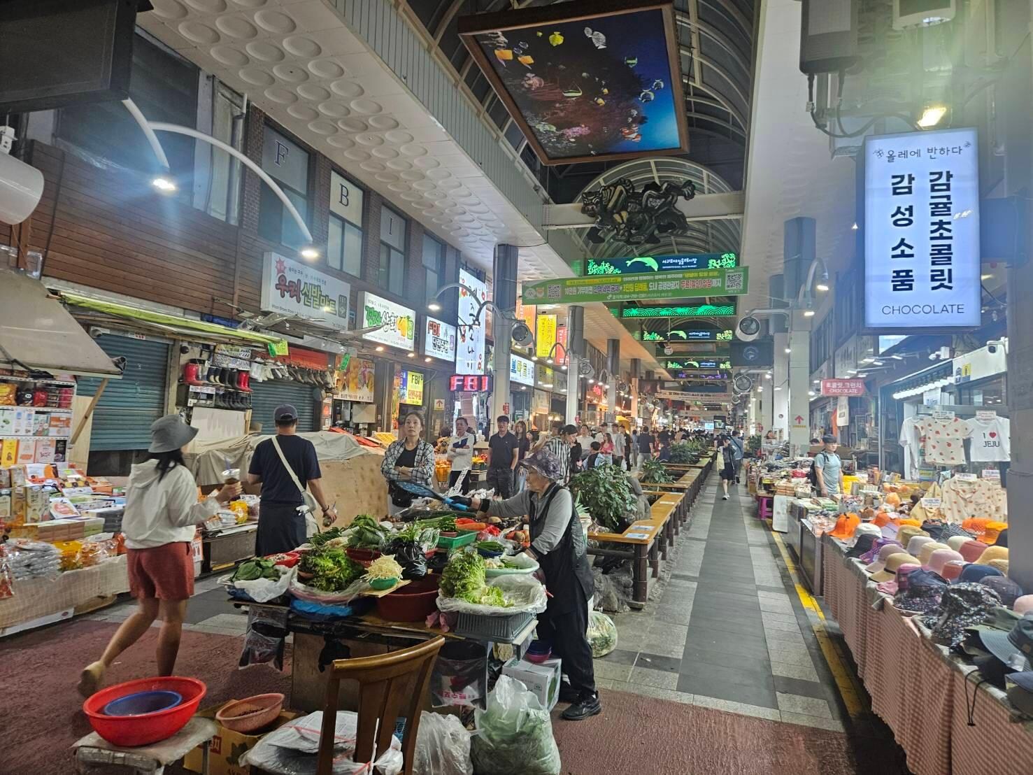 每日偶來市場