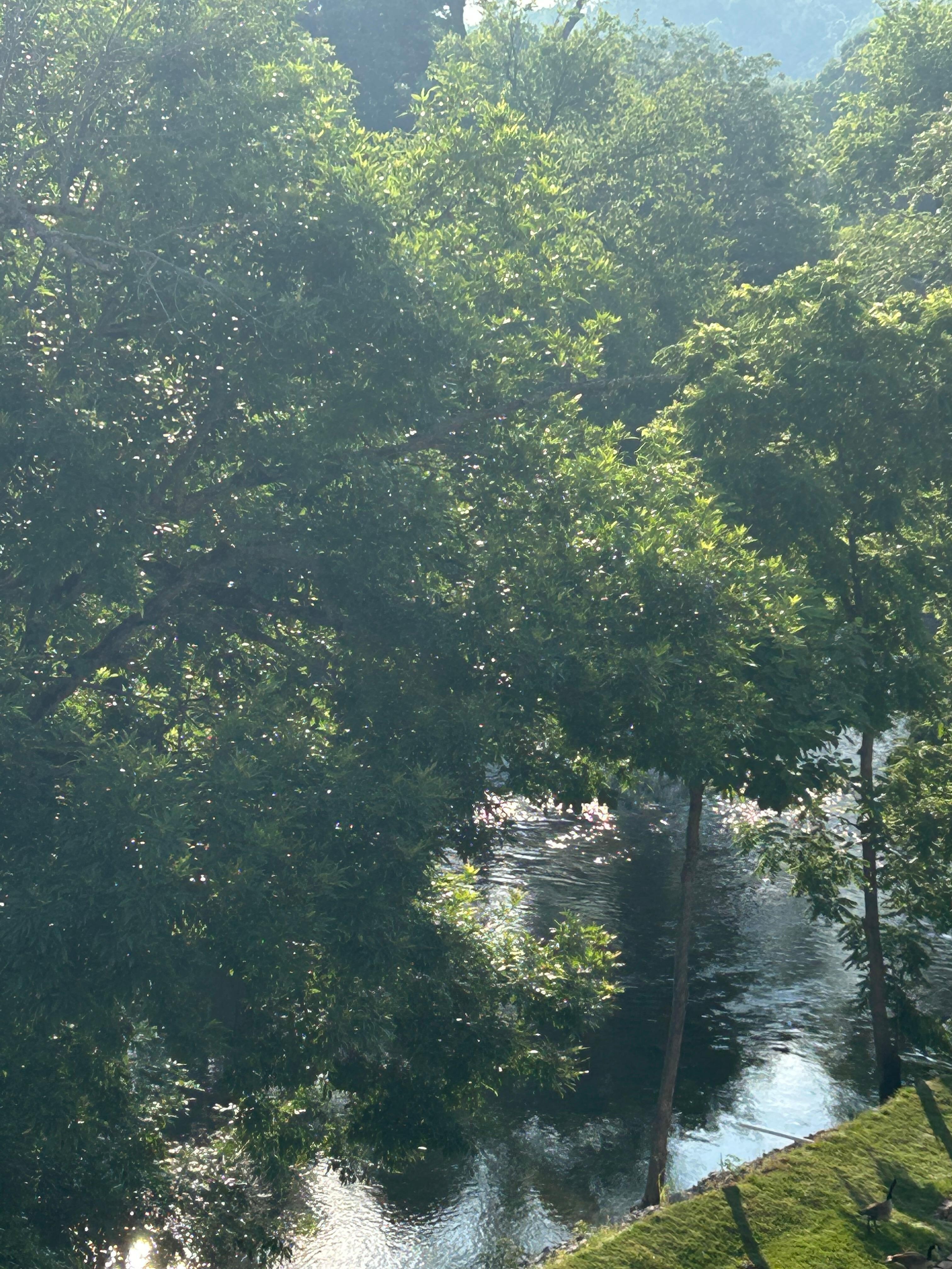 From our balcony 