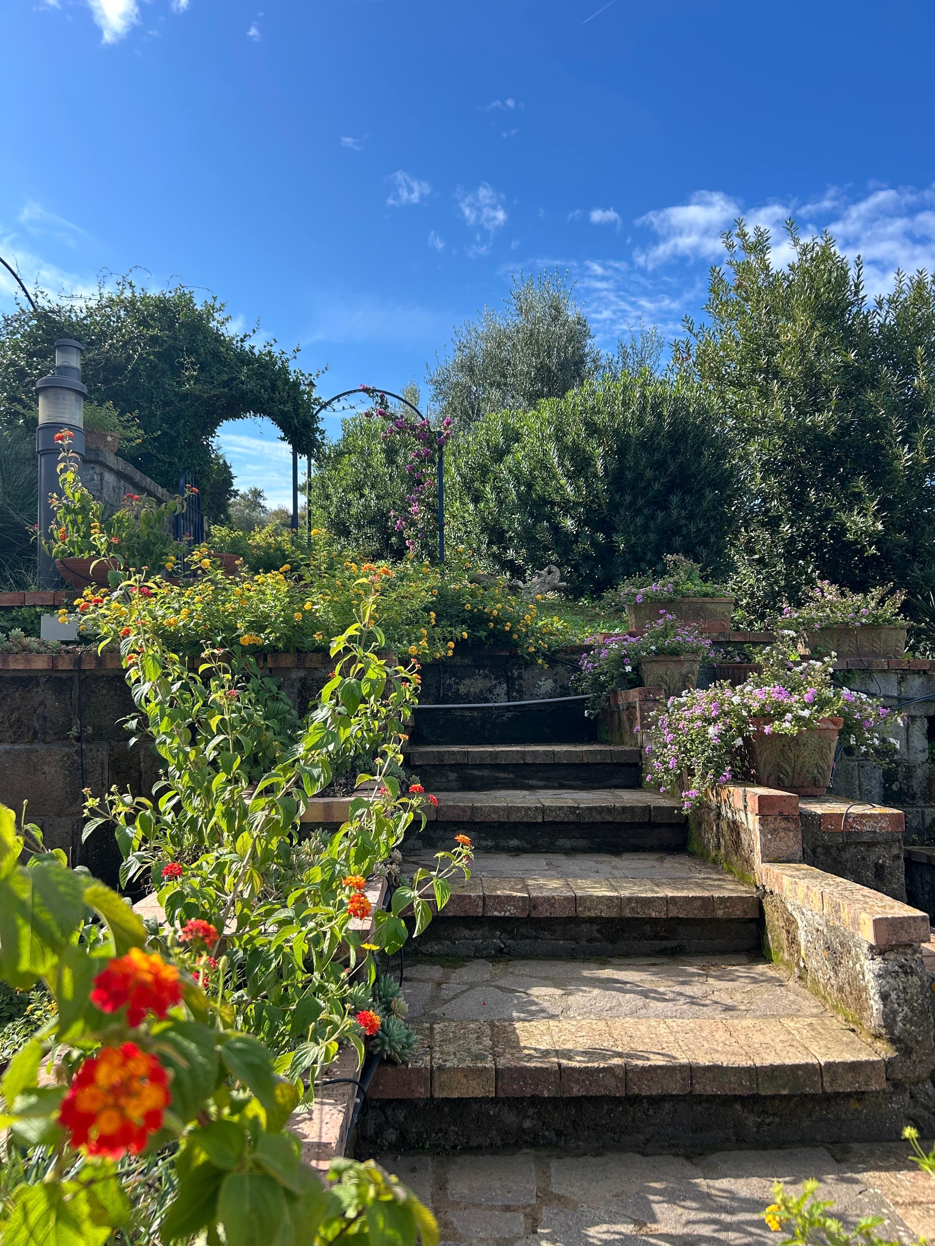 Stairs from house up to the parking area