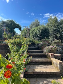 Stairs from house up to the parking area