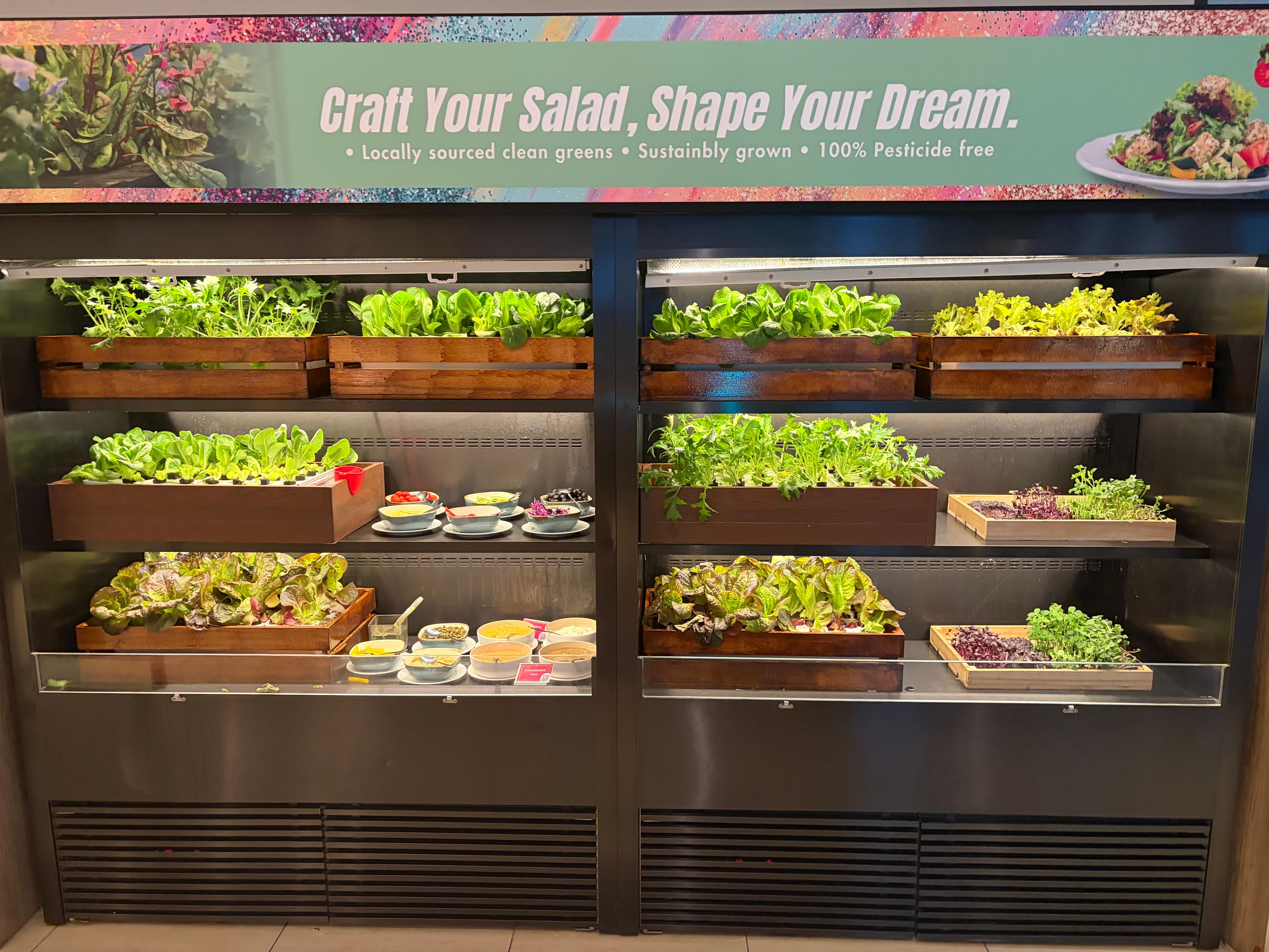 The vegetables were so beautifully presented 