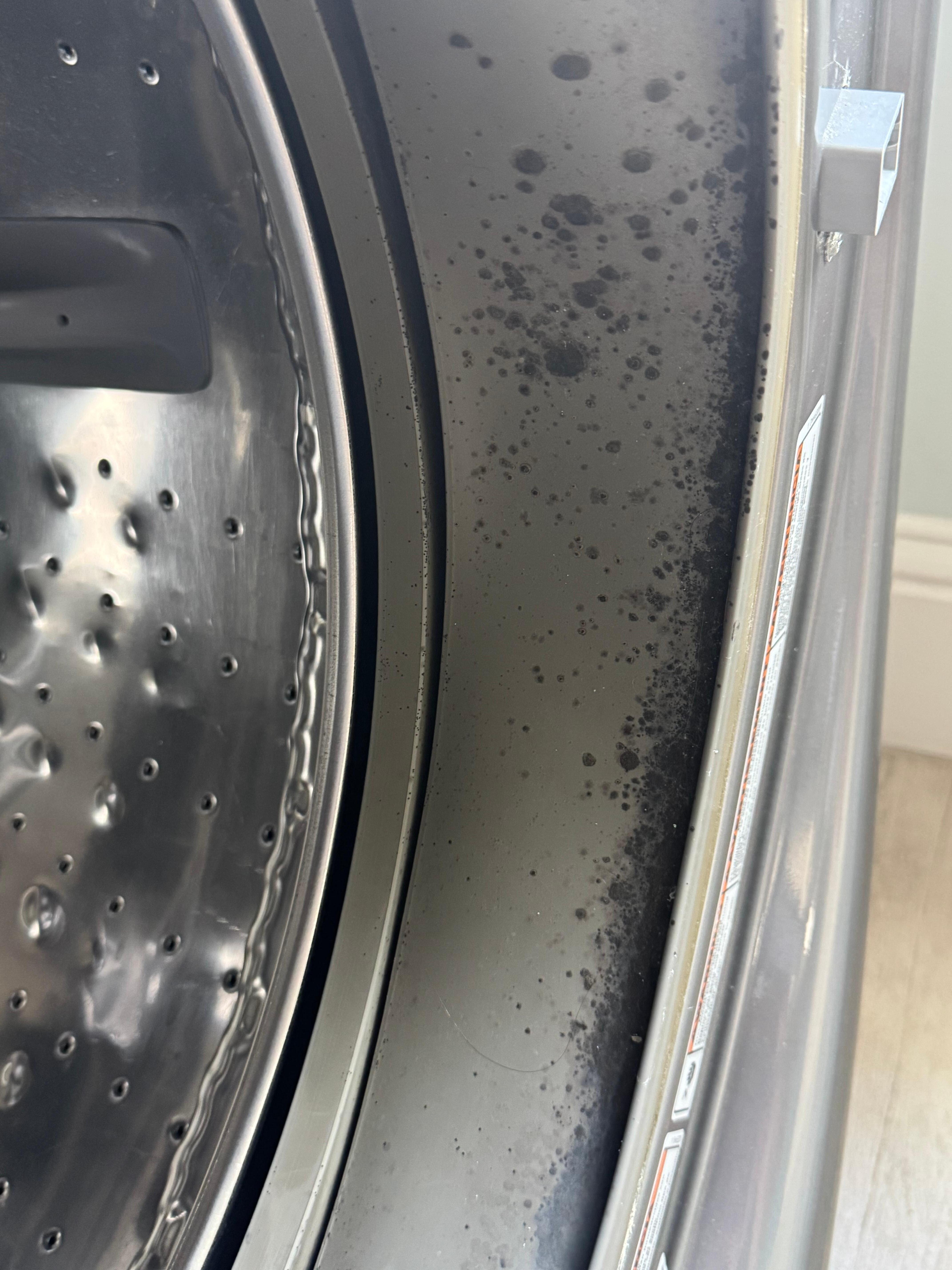 Mold in washing machine 