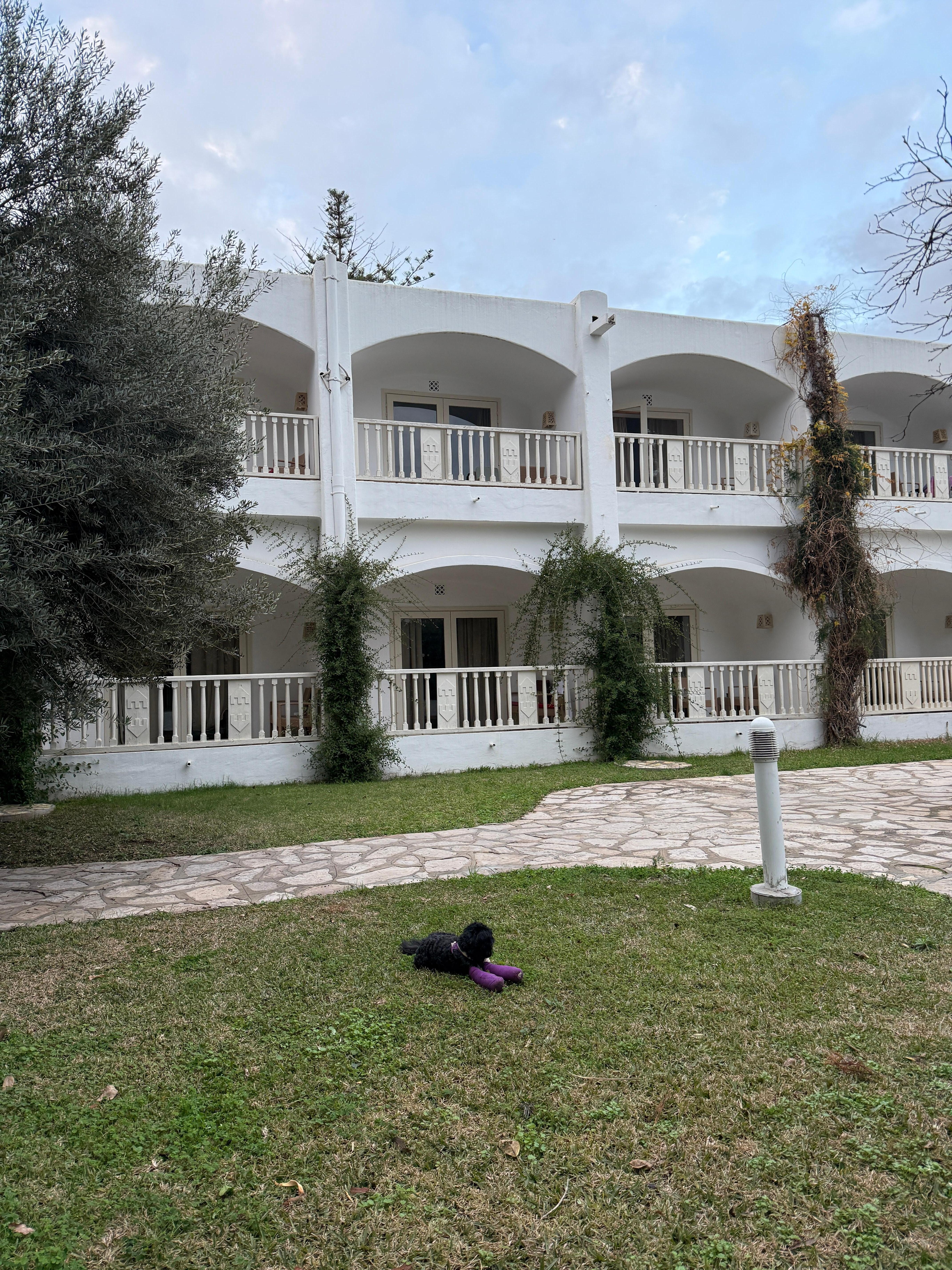 Pet friendly - a good thing 