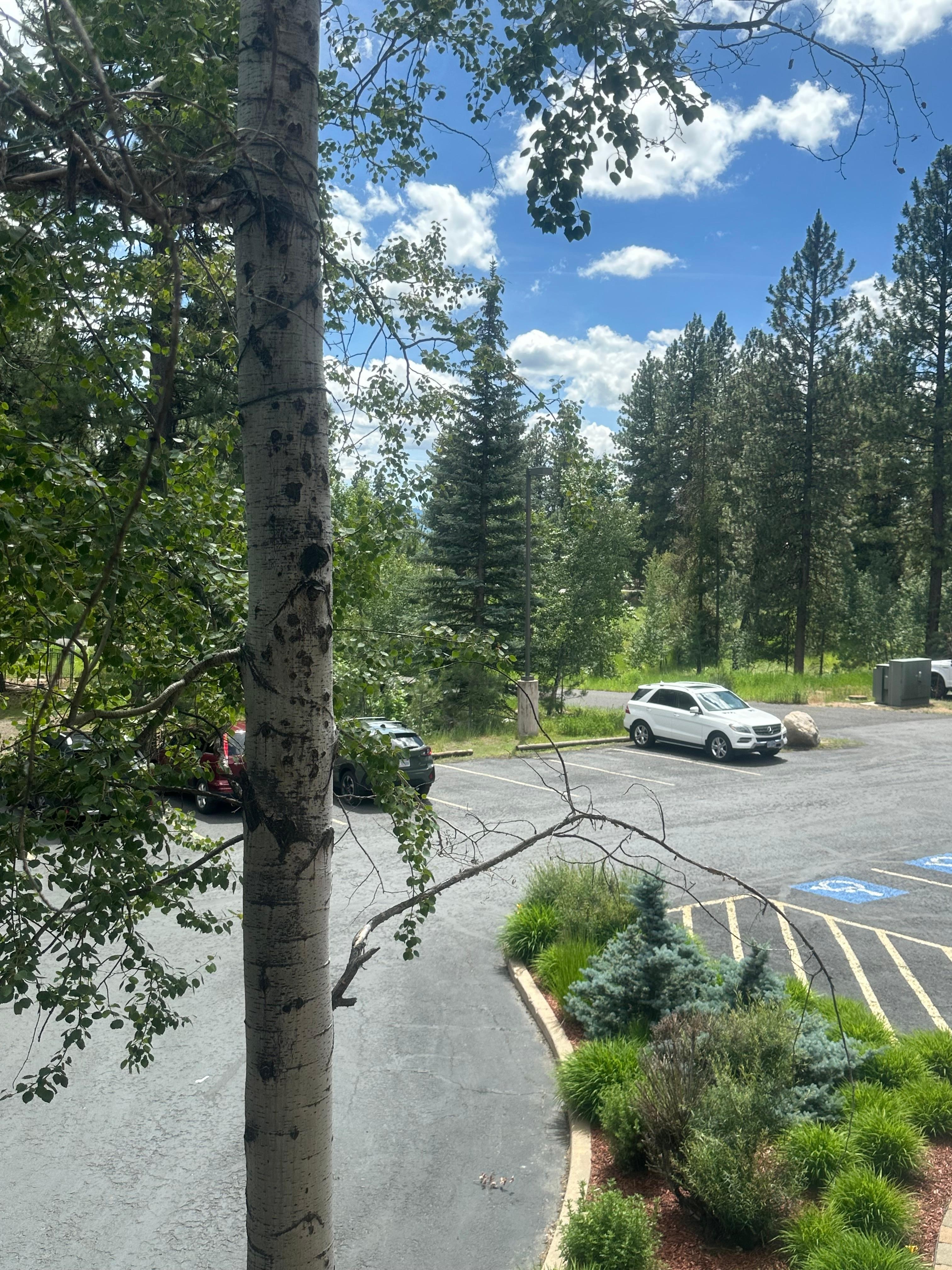 View from room