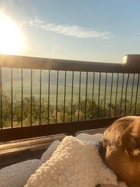 Very relaxing