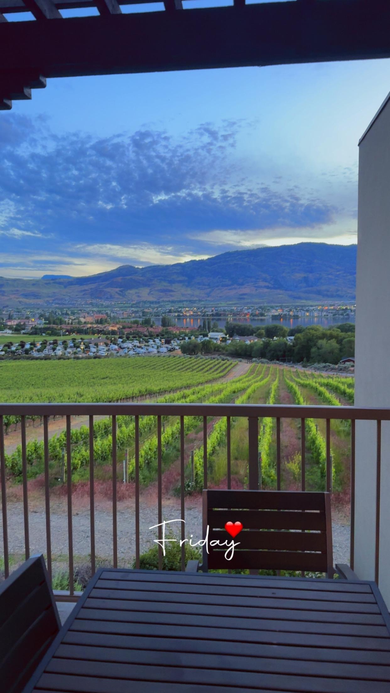 Vineyard